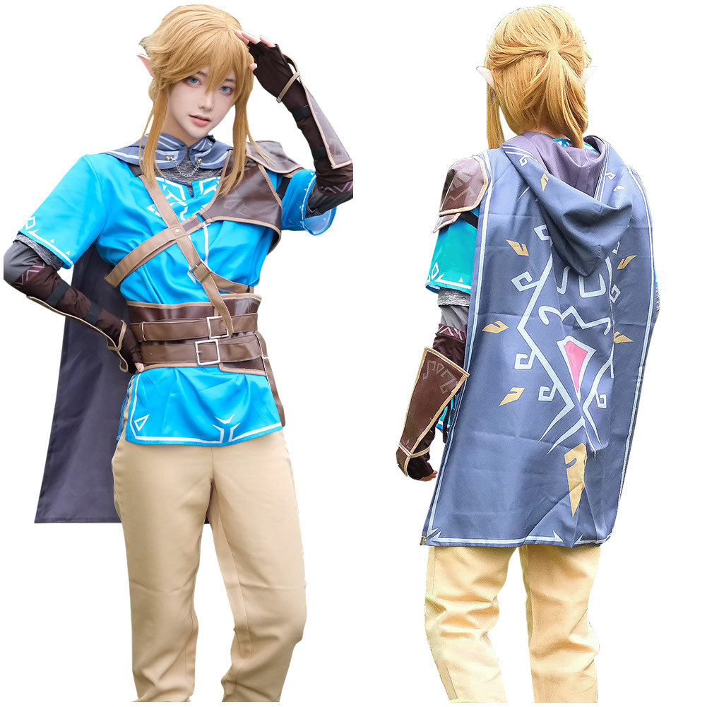 Tears Of The Kingdom Link Costume