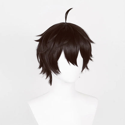 Honkai Dan Heng Cosplay Carnival Wig