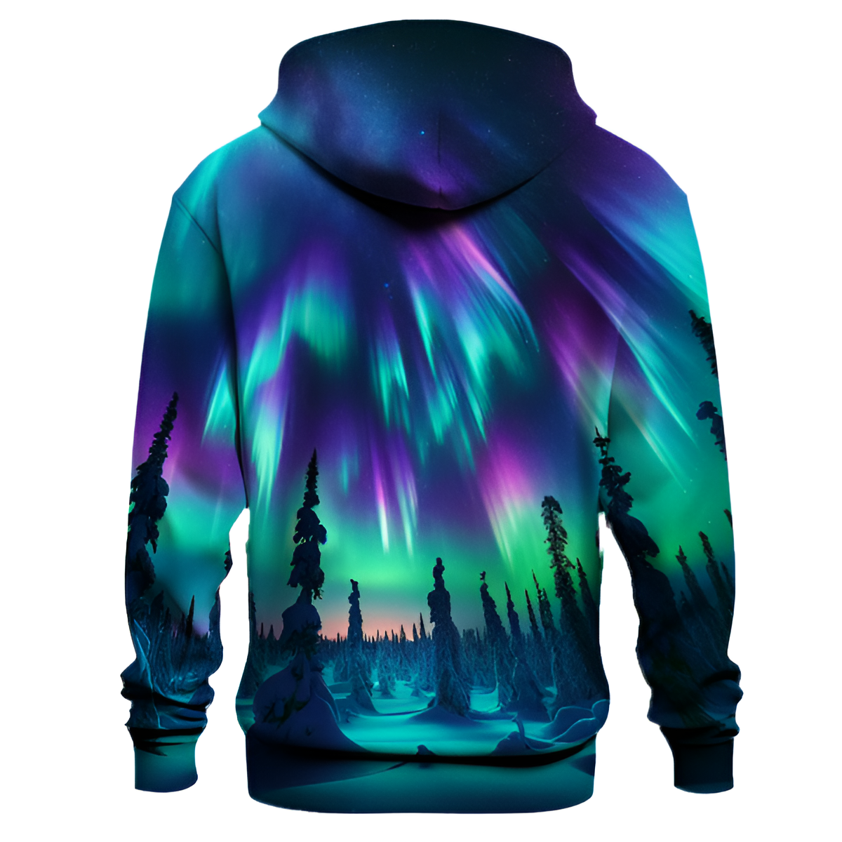 Aurora Borealis Nightscape Hoodie