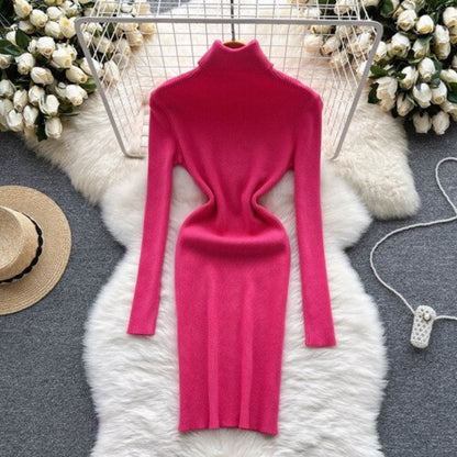 Long Sleeves Turtleneck Sheath Sweater Dress For Women